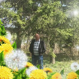 �������, ������, 66 ���