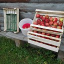  ,  -  19  2020    ))))