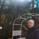 ���� ��������, ������������, 67 ��� - ��������� 24 ���� 2020 � ������ ���� ����������