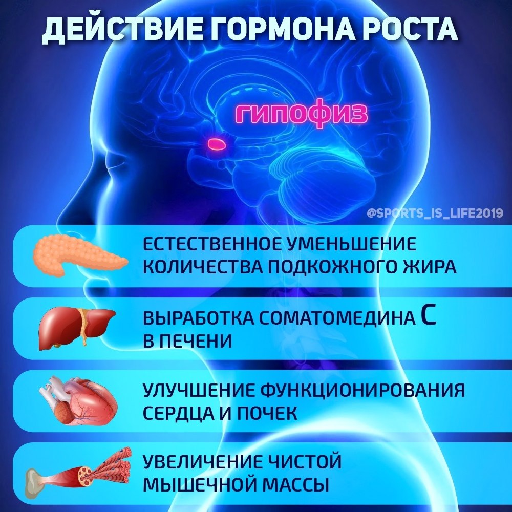  .#SPORT__@sports_is_life2019