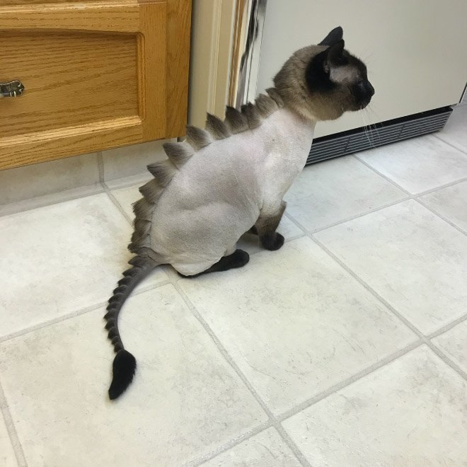 DinoCut           