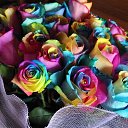 ���� Rina, �����-���������, 42 ���� - ��������� 2 ������ 2020 � ������ ���� ����������