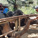  , , 40  -  17  2020   ɻ