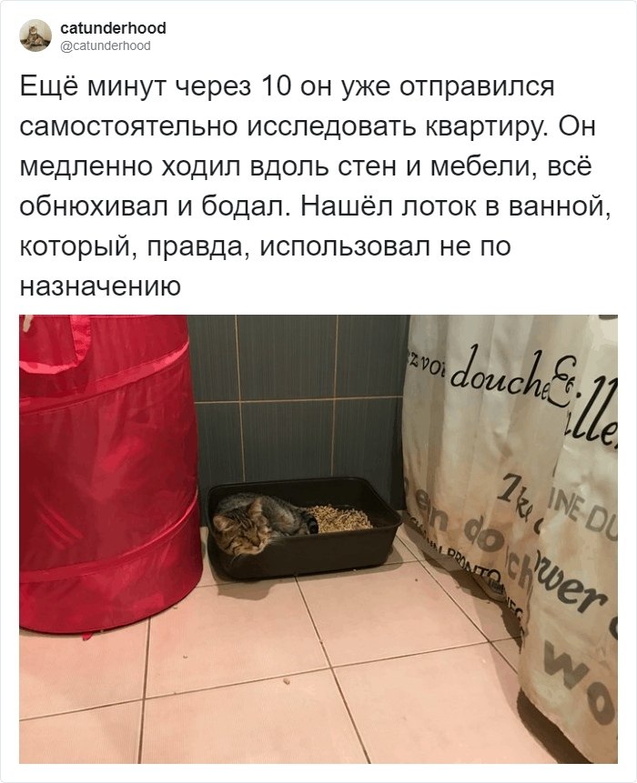  -  .        . - 2