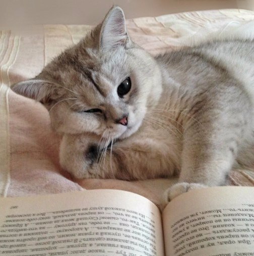 Когда тебя уже клонит в сон, но ты хочешь узнать, что же там дальше по сюжету