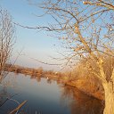 ���� ����, �������� - ��������� 14 ����� 2020 � ������ ������ ��������