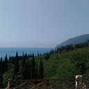 ,,  -,06.07.20. 15.00    2020