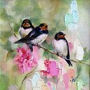 ���� Laura, ����� - ��������� 4 ��� 2020 � ������ ���� ����������