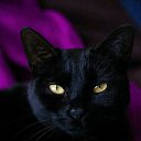 ���� �����, �����-��������� - ��������� 3 ������ 2020 � ������ ������ ��������