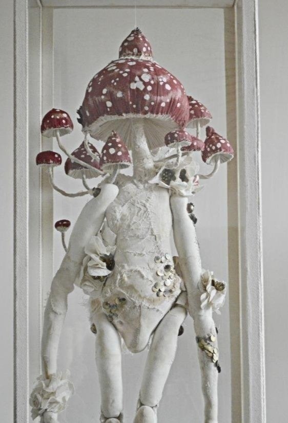 , o e co po a -   (istr Finh).*p I* - 9