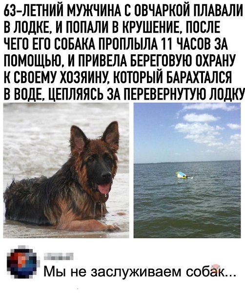   - 4  2020  19:02