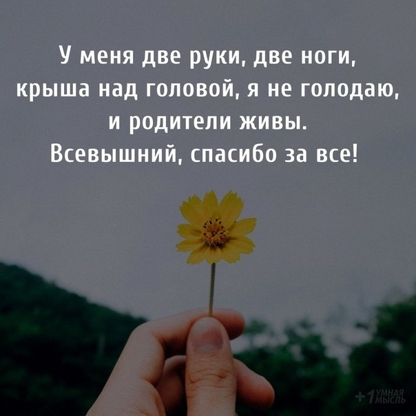   ,    . - 23  2020  14:17