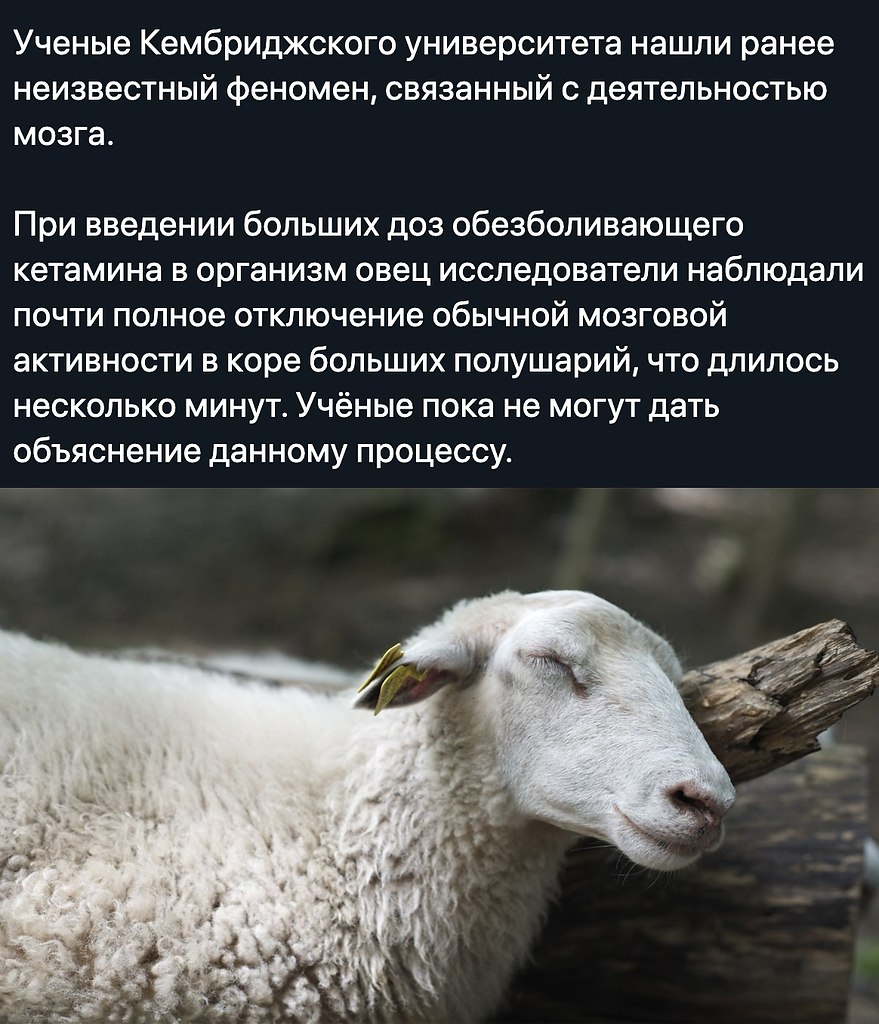    - 18  2020  18:56