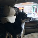 ���� �������, �����������, 58 ��� - ��������� 7 ������ 2020 � ������ ���� ����������