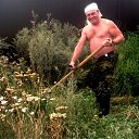 ���� �������, ����������, 61 ��� - ��������� 3 ����� 2020 � ������ ���� ����������