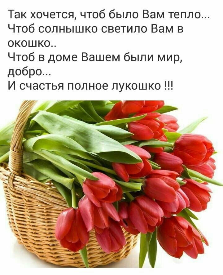   ,    . - 7  2020  23:37