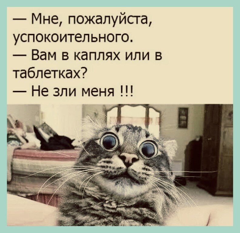 ☆ ☆ - 14  2020  19:08
