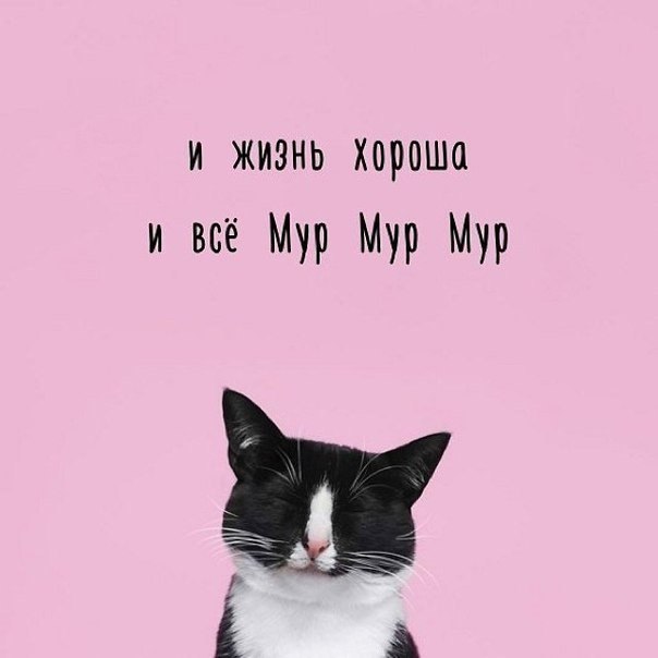 po  oe e oo. . - 4
