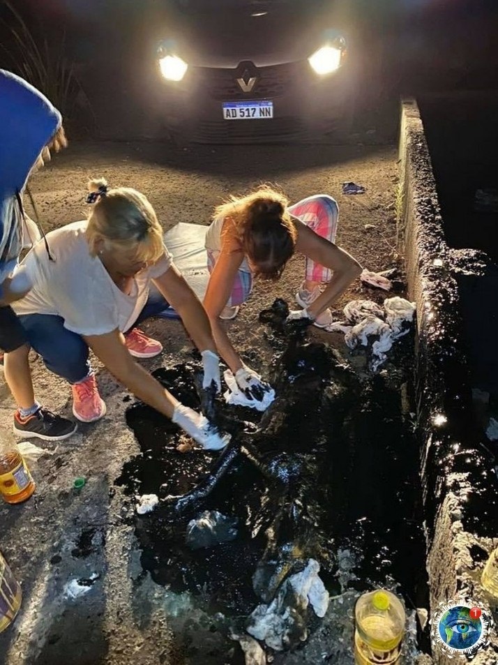 cop o o, a oop caca o opeoo ca. o p ee e o oa oep!  a ... - 3