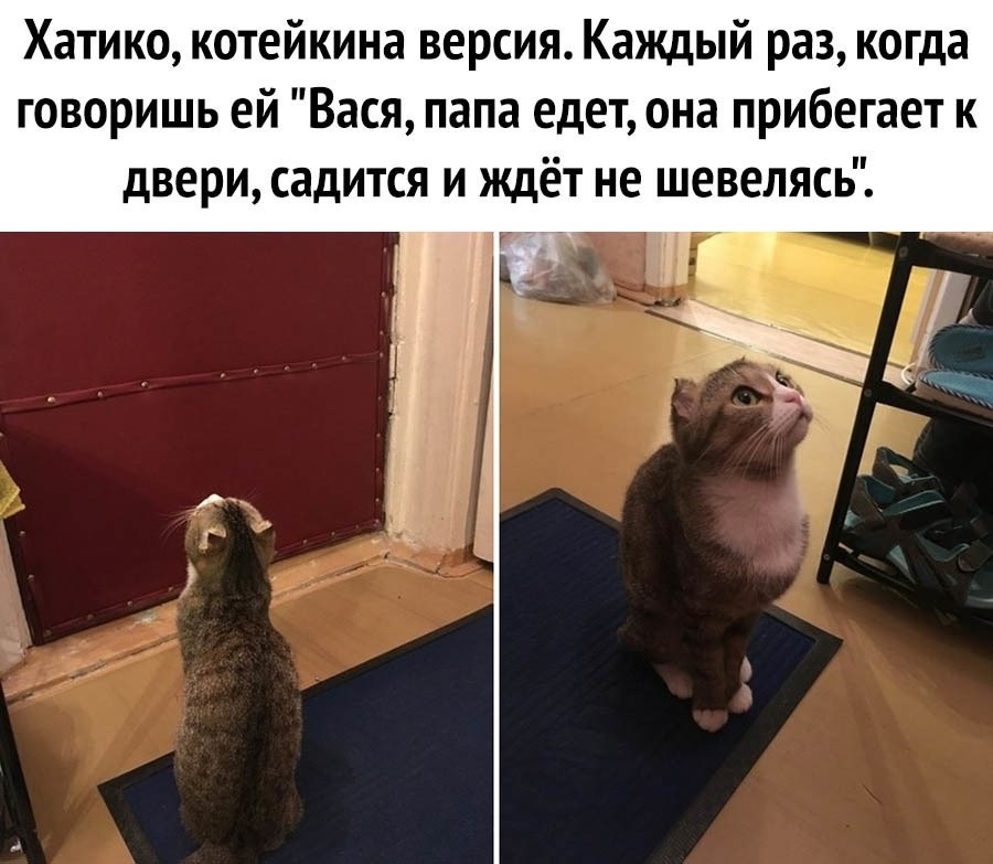    - 1  2020  20:07