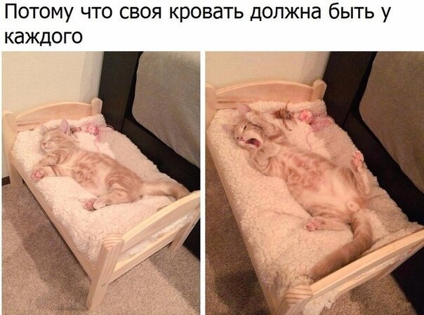    - 12  2020  19:06
