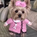 ���� ������, ����������� - ��������� 8 ���� 2020 � ������ ���� ����������