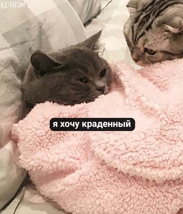      - 6