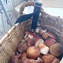 ���� ���������, �������, 67 ��� - ��������� 30 ����� 2020 � ������ ���� ����������