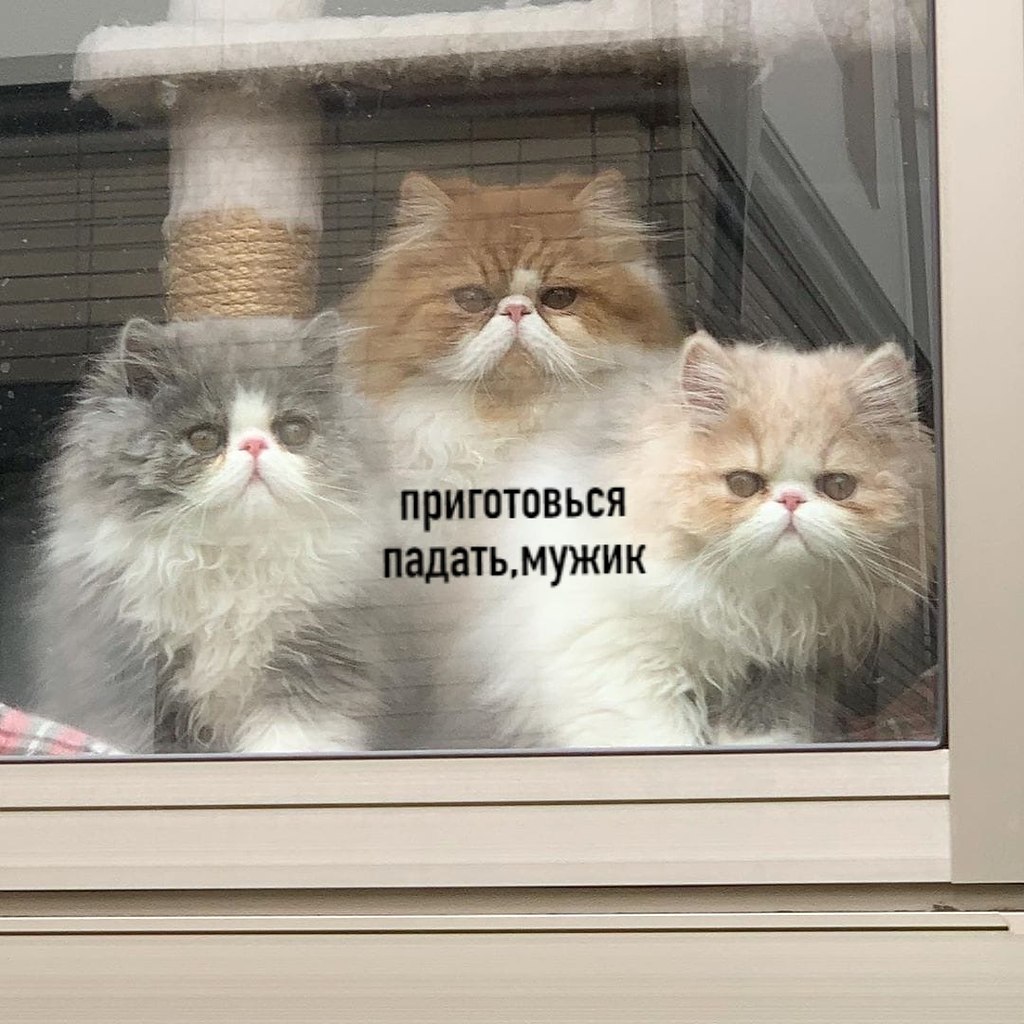          ,      - 3