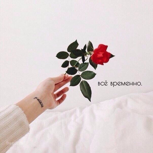   ,    . - 10  2020  00:11 - 4