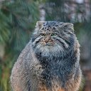 ���� Lara, ������� - ��������� 20 ����� 2020 � ������ �������