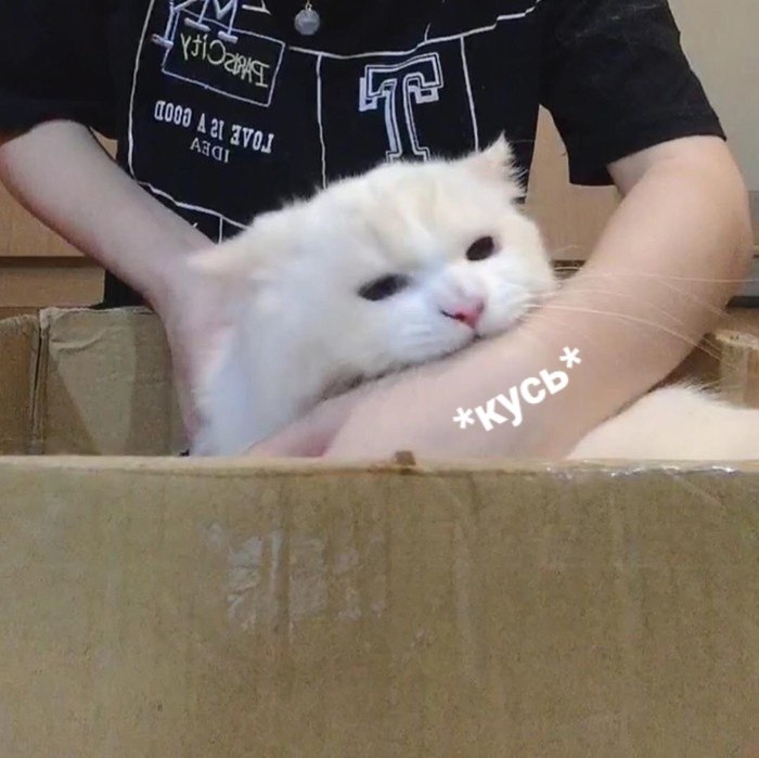    ,     - 4