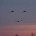 ���� ����, ����������, 40 ��� - ��������� 16 ������ 2020 � ������ ���� ����������