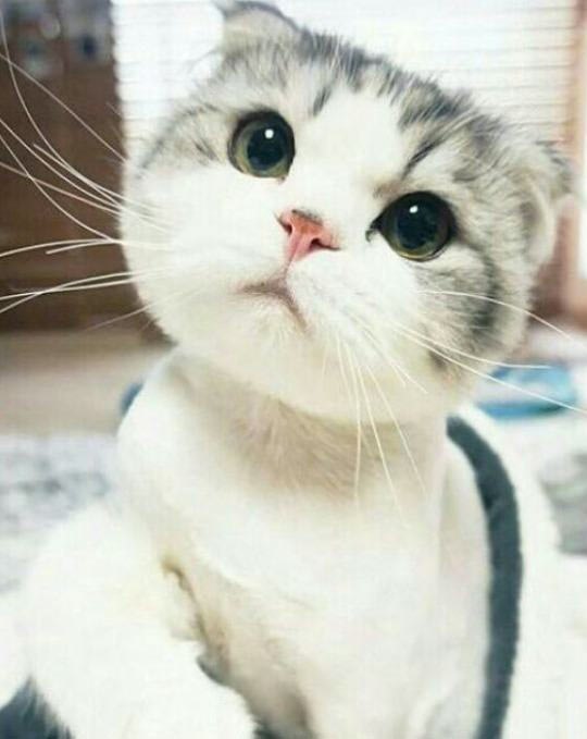   ,     ,       ...