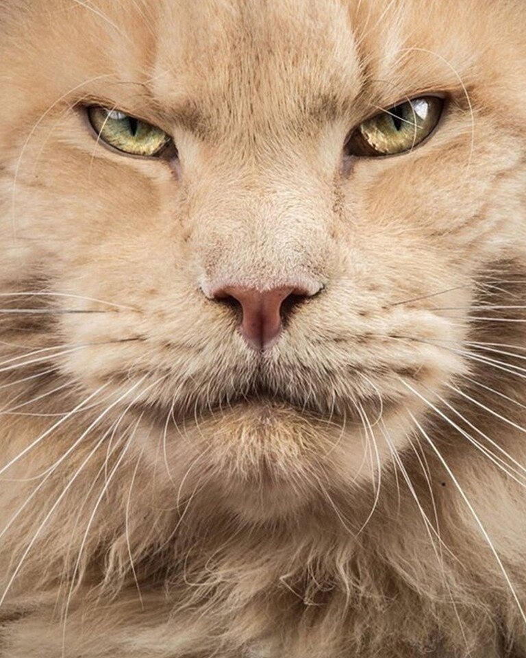  ,  .