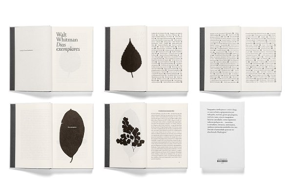    Dias exemplares (Specimen Days).      ... - 5