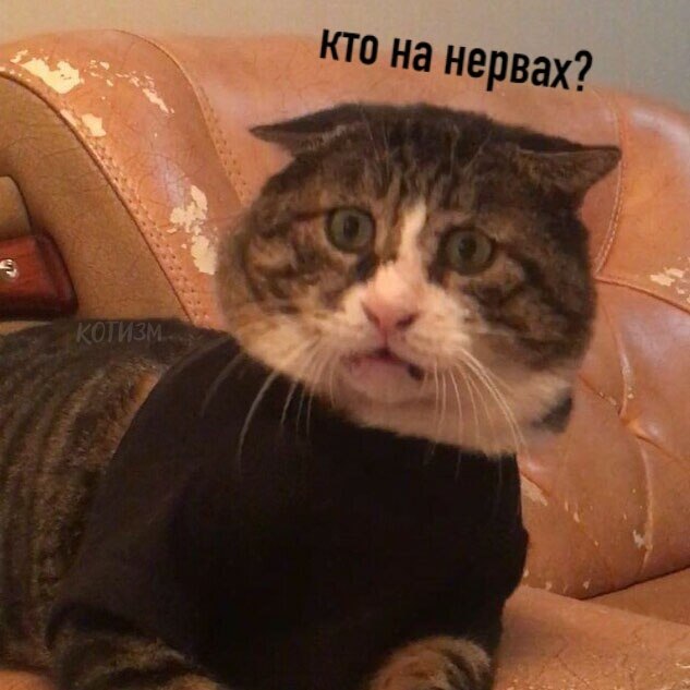     :