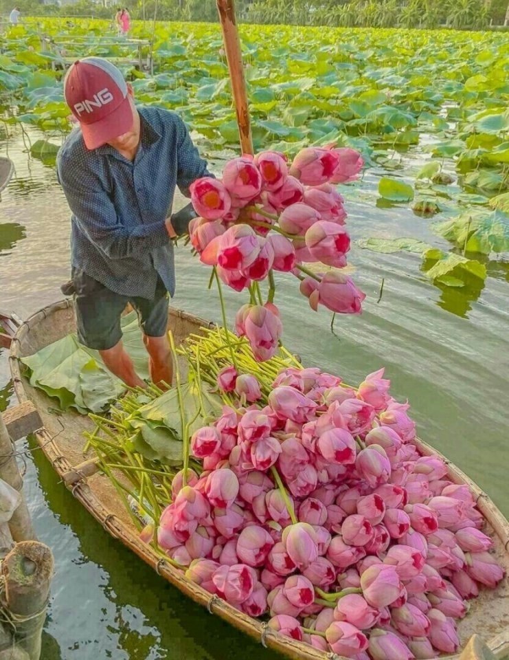   ,      