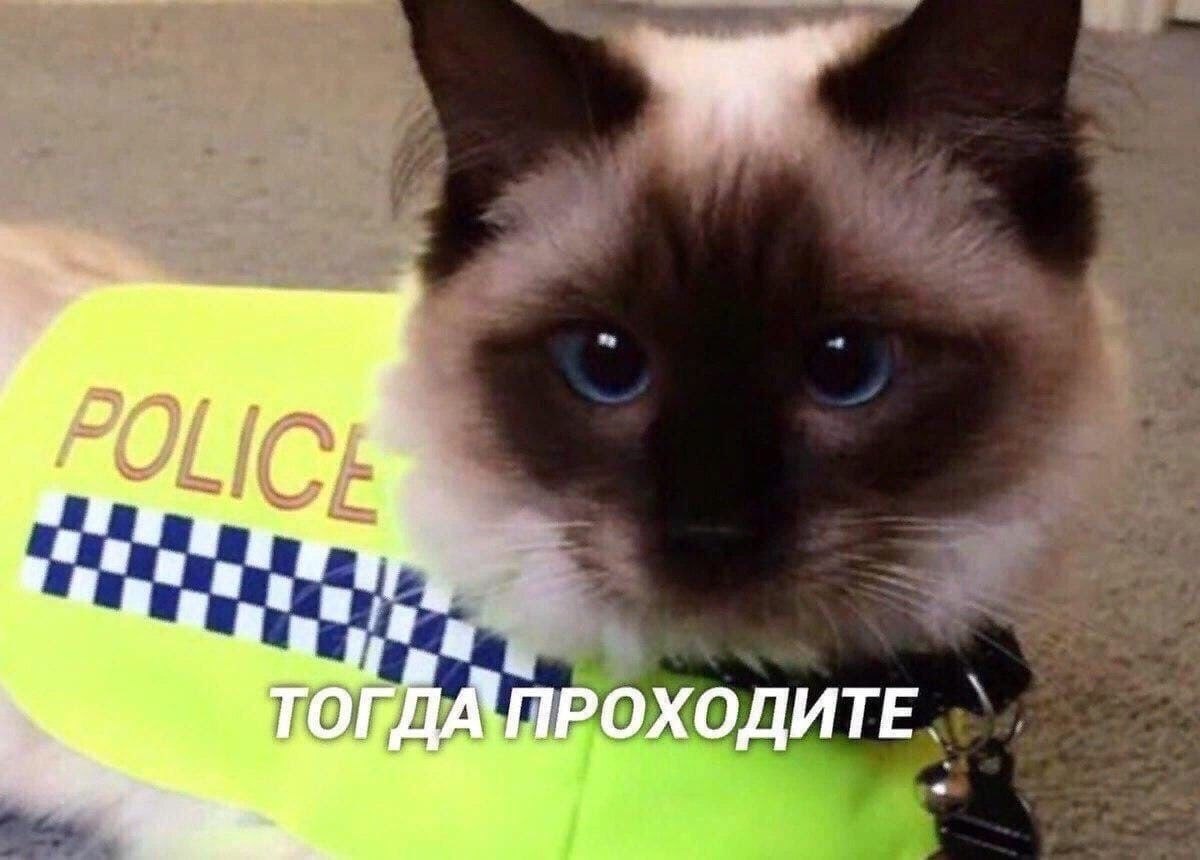   - 3