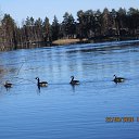 ���� ��������, Kouvola, 78 ��� - ��������� 22 ����� 2020 � ������ ������