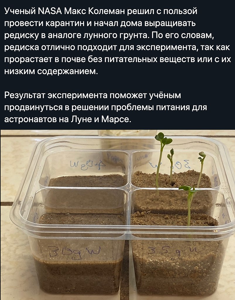    - 25  2020  18:57