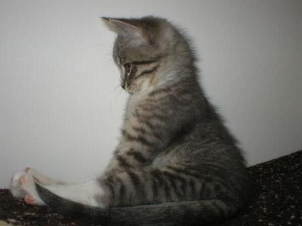 - �� ���������� � ���� ����! ��������... ������ - �����!... - 2