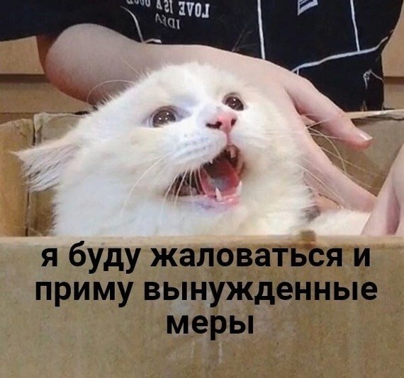    ,     - 3