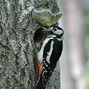 ���� �������, ���������, 56 ��� - ��������� 26 ������ 2020 � ������ �NEC PLUS ULTRA POZITIV�