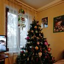 ���� �������, ������, 60 ��� - ��������� 6 ������ 2020 � ������ ���� ����������