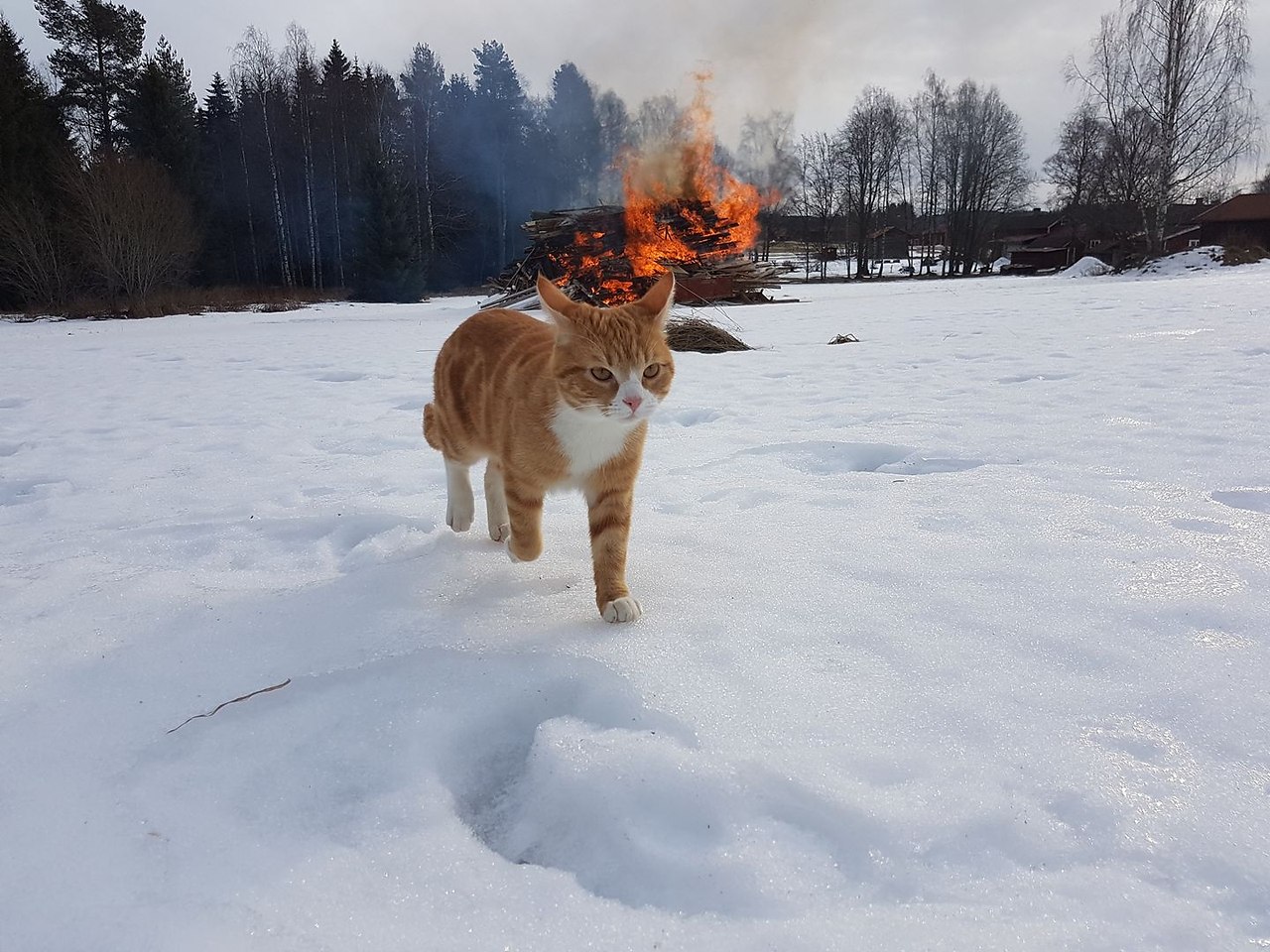       ! - 2