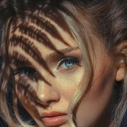 ����, �������, 41 ���