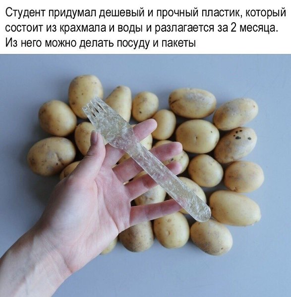 10 потрясающих примеров того, как мир борется с безответственным потреблением и загрязнением ... - 3