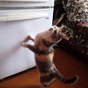 ���� ����, ���������, 50 ��� - ��������� 11 ������� 2020 � ������ ���� ����������