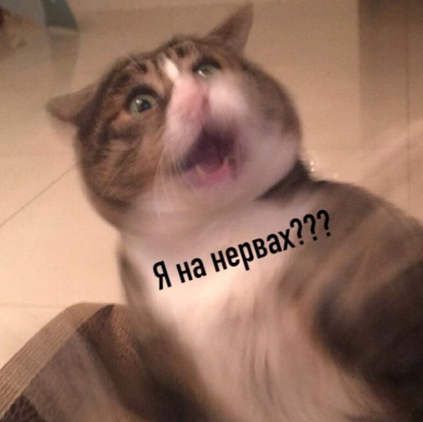     : - 2